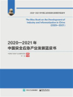 2020—2021年中国安全应急产业发展蓝皮书