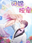 闪婚独宠[漫画]