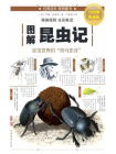 图解昆虫记