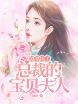 甜妻特工：总裁的宝贝夫人