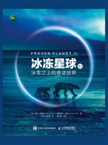 冰冻星球II：冰雪之上的奇迹世界