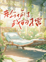 老公偷了我的子宫