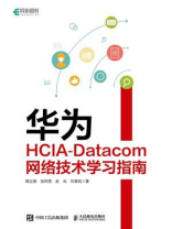华为HCIA-Datacom网络技术学习指南