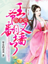 王爷你老婆又翻墙了