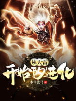 从天雷开始的进化