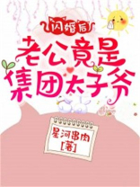 闪婚后，老公竟是集团太子爷