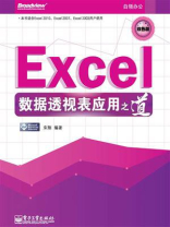 Excel数据透视表应用之道（双色）