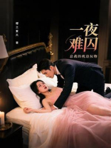 一夜难囚：总裁的枕边玩物