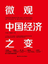 微观中国经济之变