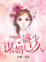隐婚蜜爱：盛少谋婚已久