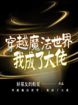 穿越魔法世界：我成了大佬