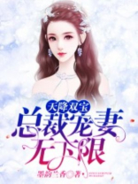 天降双宝：总裁宠妻无下限