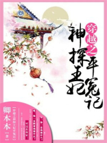 穿越之神探王妃平冤记