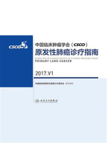 中国临床肿瘤学会(CSCO)原发性肺癌诊疗指南 2017.V1