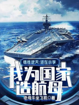 悟性逆天：还在小学，我为国家造航母