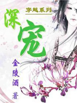 穿越系列：深宠