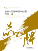 自我—品牌联结影响机制研究