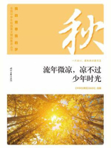 流年微凉，凉不过少年时光
