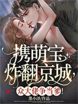携萌宝炸翻京城，众大佬争当爹！