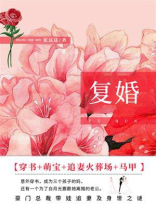 复婚