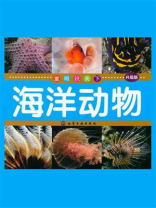 海洋动物（升级版）