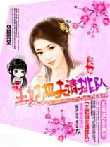 王妃招夫请排队