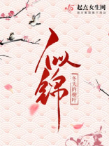 似锦 似锦