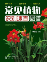 常见植物识别速查图谱 常见植物识别速查图谱