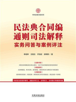 民法典合同编通则司法解释实务问答与案例评注