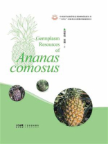 菠萝种质资源