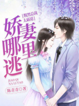 腹黑总裁太霸道：娇妻哪里逃