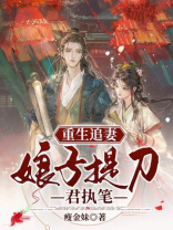 重生追妻：娘子提刀君执笔