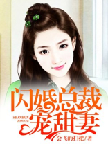 闪婚总裁宠甜妻