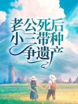 老公死后小三带种争遗产