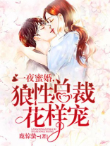 一夜蜜婚：狼性总裁花样宠！