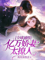 全球通缉，亿万娇妻太撩人