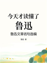 今天才读懂了鲁迅，鲁迅文章名句选编