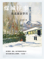 煤城往事：东北流金岁月