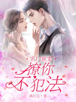 名门独宠，撩你不犯法