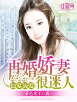 再婚娇妻很迷人