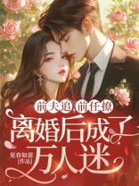 前夫追，前任撩，离婚后成了万人迷