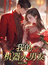 我的机器人男友