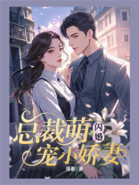 闪婚：总裁萌宠小娇妻