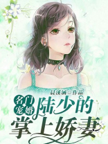 名门宠婚：陆少的掌上娇妻