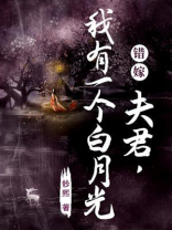 错嫁：夫君，我有一个白月光