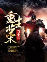 重生北宋当小兵