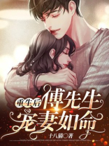 重生后傅先生宠妻如命