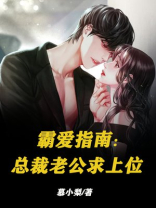 霸爱指南：总裁老公求上位