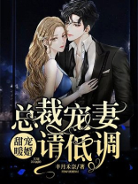 甜宠暖婚：总裁宠妻请低调