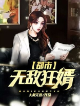 都市无敌狂婿
